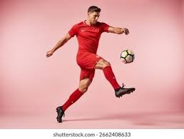 企业信任信息展示示意