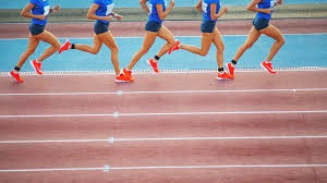 佛罗里达马林鱼作为扩张球队，仅用五年便夺下队史首座世界大赛冠军